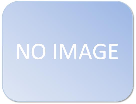 ナフロン<span class="sup-text sign-re">®</span> マンホールガスケットの画像